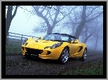 Lotus Elise